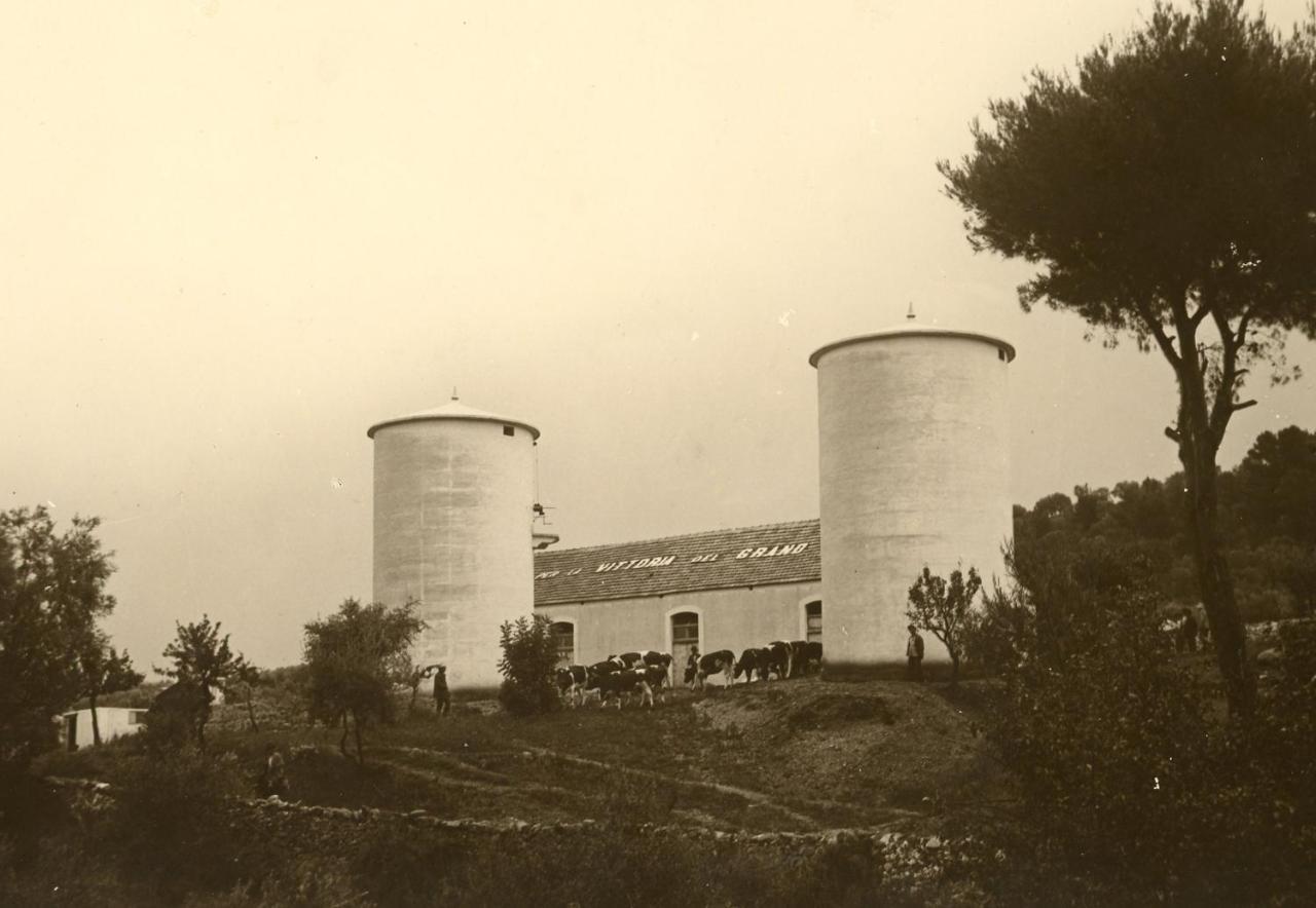 Rocca Sul Mare Hotel Vieste Exterior photo